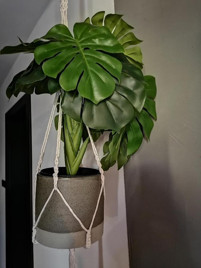 Appartamento Apartament Jelen Złotów Esterno foto